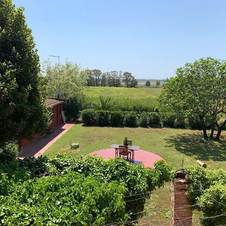 Casale Degli Ulivi Maccarese Vila Le Cerquete Exterior foto