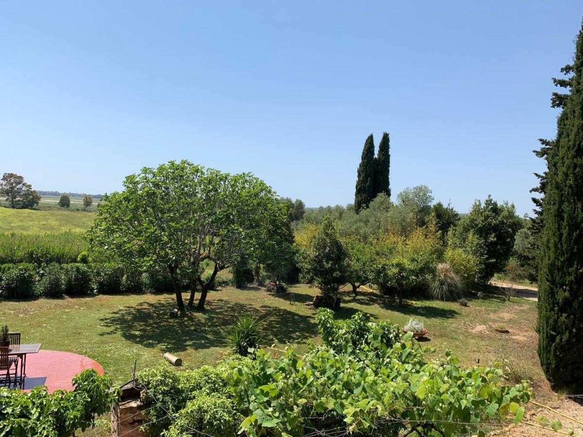 Casale Degli Ulivi Maccarese Vila Le Cerquete Exterior foto