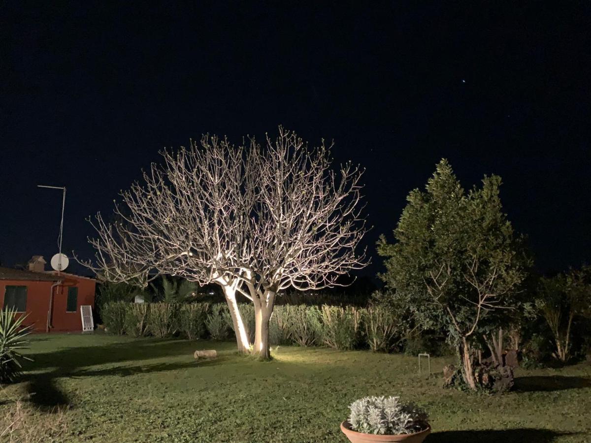 Casale Degli Ulivi Maccarese Vila Le Cerquete Exterior foto