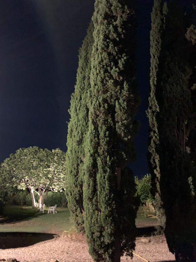 Casale Degli Ulivi Maccarese Vila Le Cerquete Exterior foto
